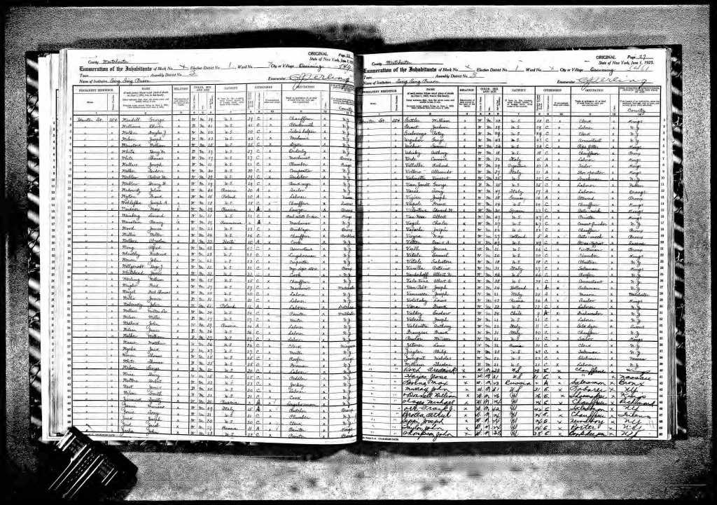 1925 new york census Sing sing prison Joe Valachi
